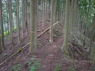 曲輪B西側の土橋