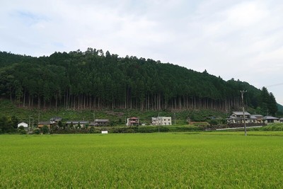 吉田城 遠景（南より）