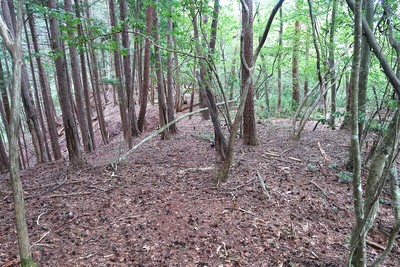 吉田城 千畳敷の一部