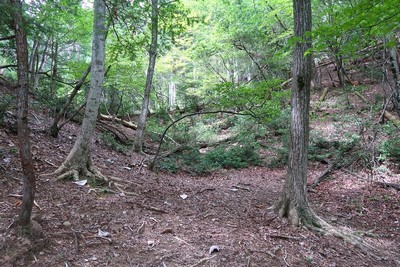 吉田城 千畳敷北の谷