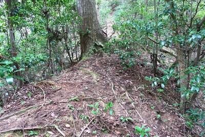 吉田城 堀切状の谷の土橋状土塁