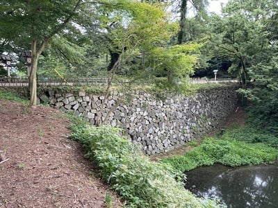 高岡城跡、石垣の土橋です。