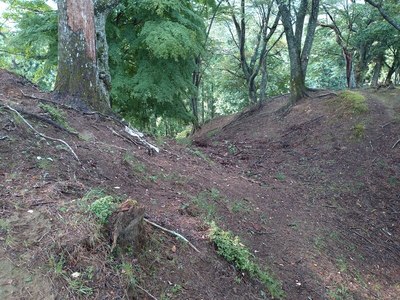 矢倉跡北側の堀切