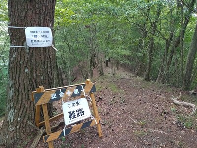 鐘突堂南側の道は違います