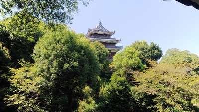 資料館からの本丸丑寅櫓