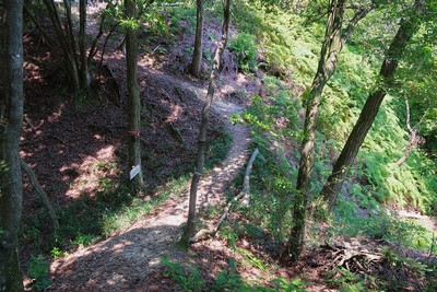 北之庄城 土橋