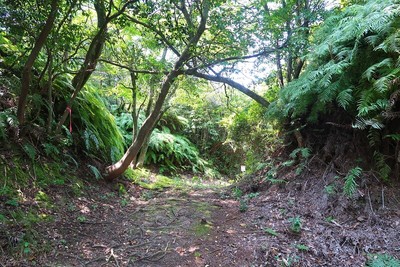 北之庄城 東枡形虎口（虎口外より）