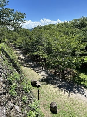 天守台から見下ろしたところ