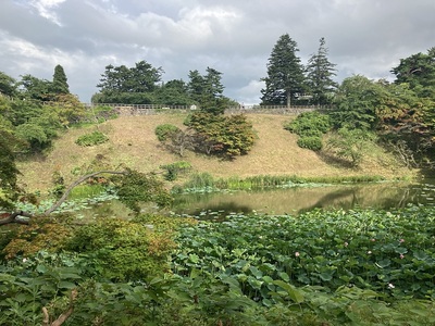 西の郭から蓮池と本丸土塁を望む