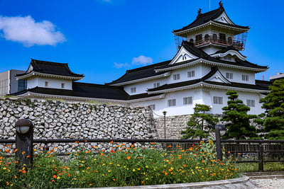 天守近景、キバナコスモスとともに