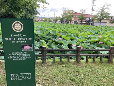 北参道より