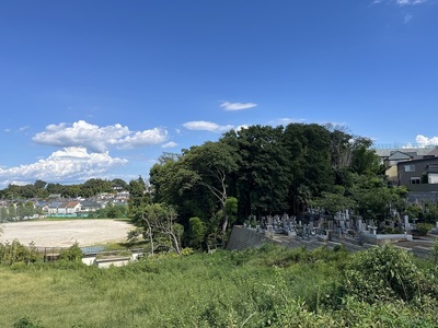 東側からの遠景