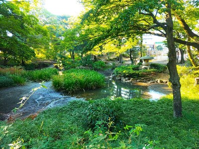 下茶屋公園庭園（西側）