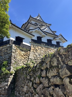 西の丸水の手御門虎口から見た天守