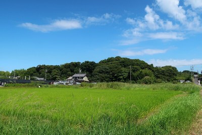 大草城 遠景（南より）