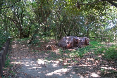 大草城 北のⅡ曲輪の土塁上