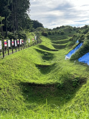 西ノ丸畝堀(うねぼり)