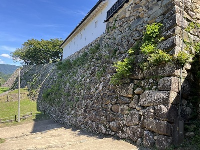 西の丸水の手御門虎口から見た本丸石垣