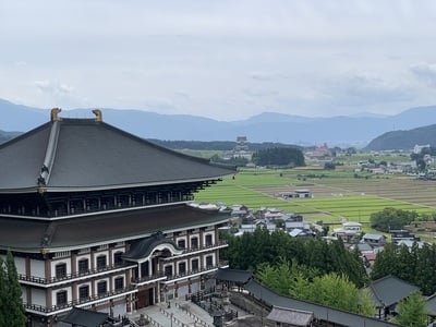 遠景の勝山城博物館