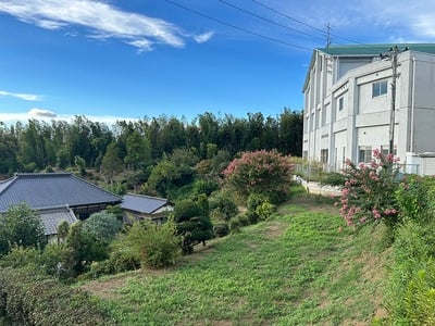 主郭西側の風景