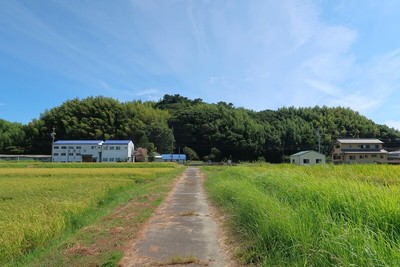 大野城 遠景（北より）