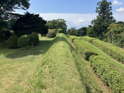 岱崎出丸、御馬場跡北の土塁