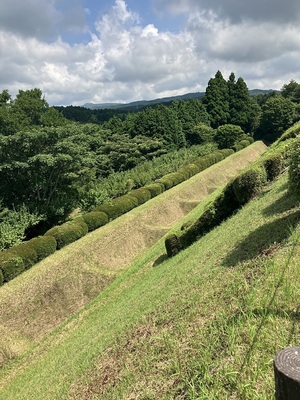 岱崎出丸すり鉢曲輪北の土塁から北の畝堀を撮影