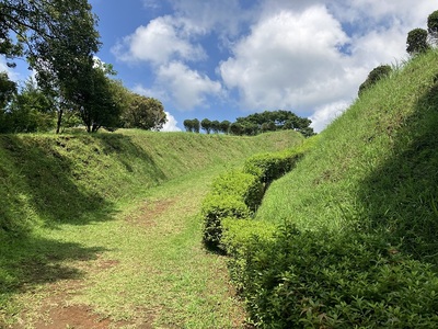 二の丸西の堀切と土塁