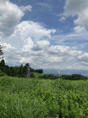 西館から遥か二の丸、本丸を眺める