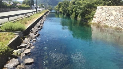 透きとおる水の流れる外堀