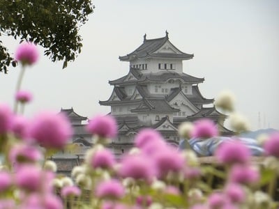 男山から 紅白の姫路