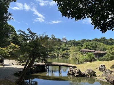 玄宮園から望む天守