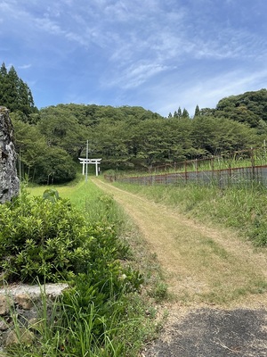 標柱から城跡への道筋