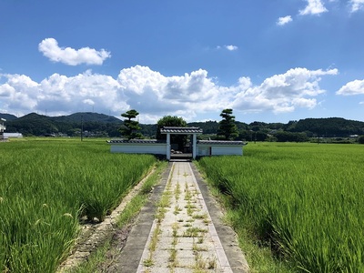 井伊氏発祥の井戸