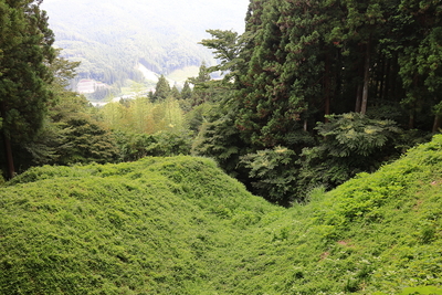 岩櫃城_本丸下竪堀