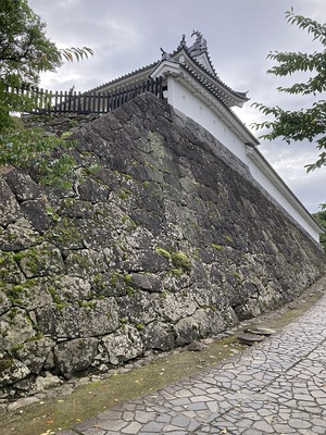 天守石垣(野面積み)