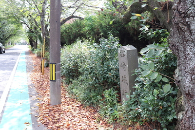 桜馬場跡の道路と城址碑