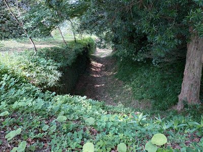 本丸と北の丸を隔てる空堀