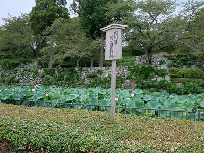 紀州藩同人屋敷跡