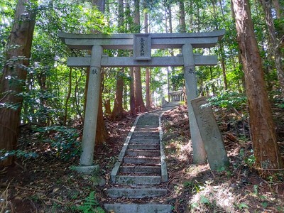 登城王大神の鳥居