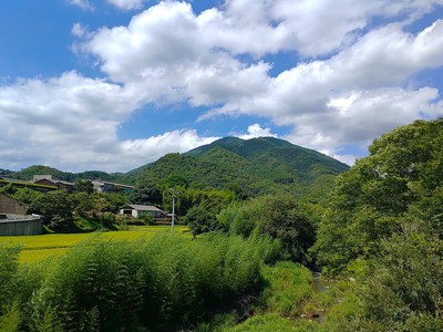 城址（城王山）全景（南側）