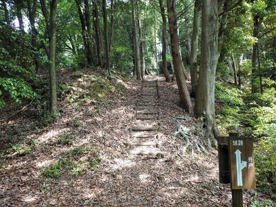 城跡と井戸の分岐点