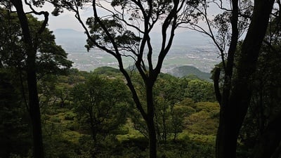 山頂からの筑後川