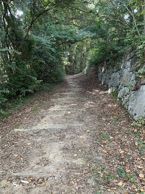 山中御殿平北東側からの登城路