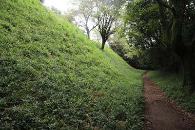 北郭切岸　登山道側