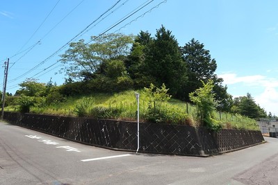 川北城 城址（かわきた公園）を見上げて