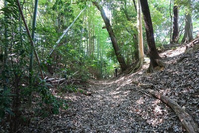 上津部田城 主郭とⅢ郭間の空堀