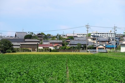 渋見城 遠景（南より）