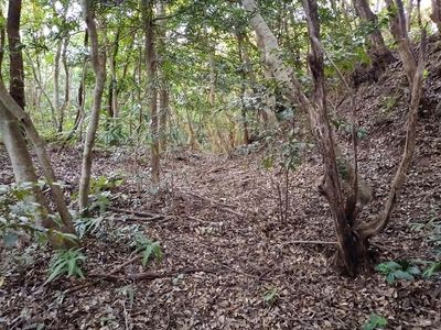 北側山中の空堀