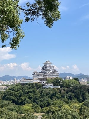 男山より姫路城を眺める